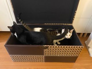 Baúl vintage tela y polipiel