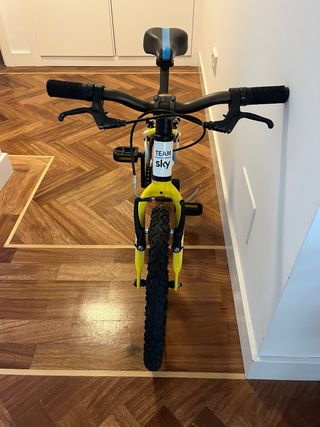 Bicicleta Frog 48 Sky Team 16”