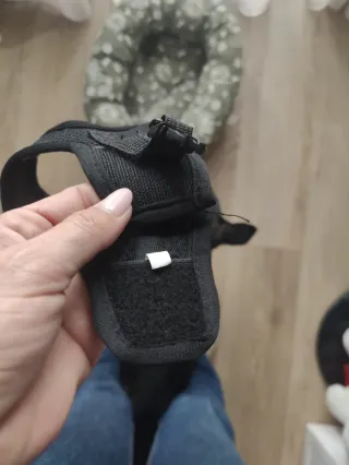 Cama para perro y arnés