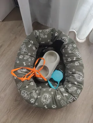 Cama para perro y arnés
