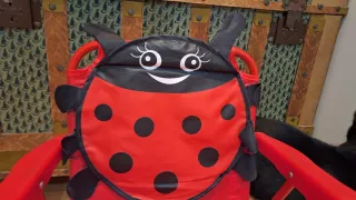 Silla infantil camping mariquita