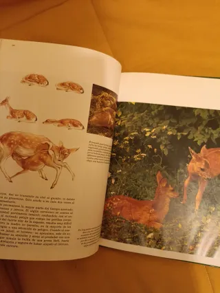 Enciclopedia Salvat de la fauna ibérica y Europea