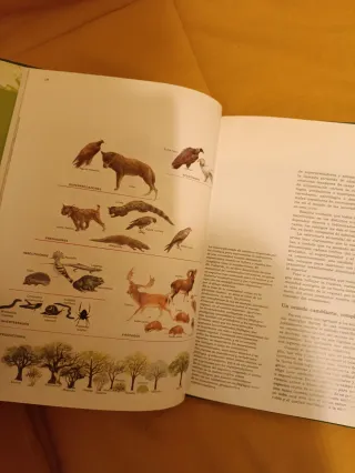 Enciclopedia Salvat de la fauna ibérica y Europea