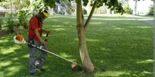 Jardinero hierba, árboles talar  limpieza ,