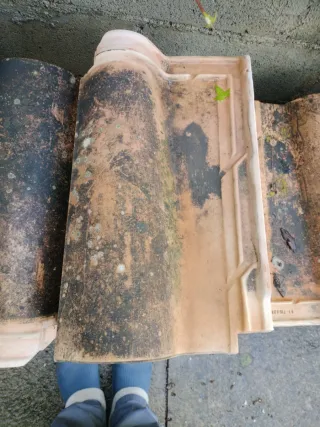 55 m2 Teja Borja Mixta Envejecida. Buen estado