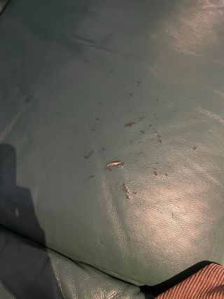 Pack Sofás Piel Verde Oscuro 3+2