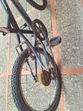 Bicicleta Freerider vieja