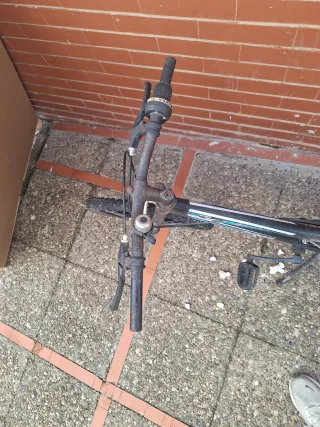 Bicicleta Freerider vieja