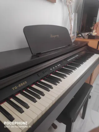 Piano Digital Ringway TG-8860