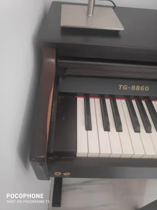 Piano Digital Ringway TG-8860