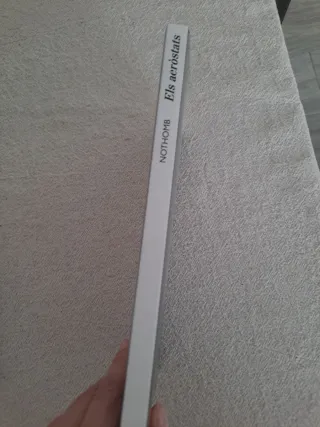 Els aeròstats, Nothomb