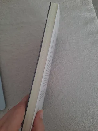 Els aeròstats, Nothomb