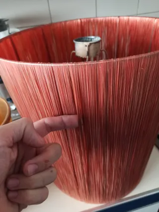 Tulipas antiguas naranjas y rojas