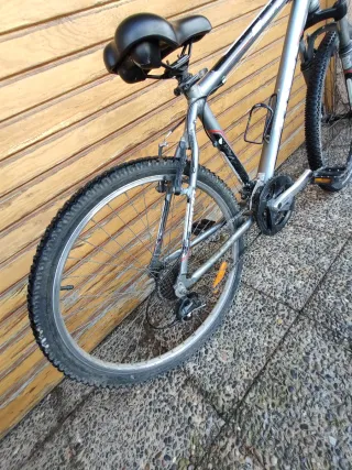 Bicicleta de Montaña color Plata