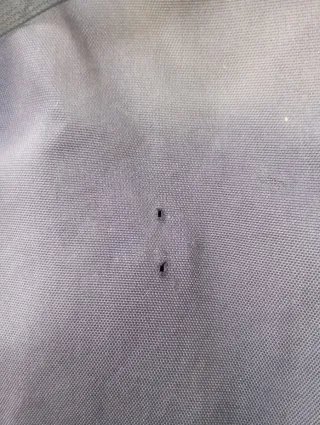 Patines blancos talla 36