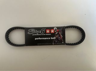 Correa Stage 6 Performance Belt