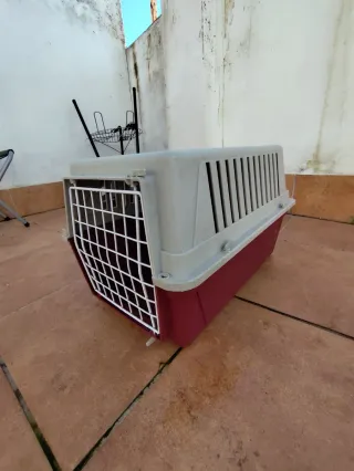 Transportín gris y rojo para mascotas