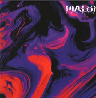 Vinilo Techno MALOR001 Polished Caverna Groove