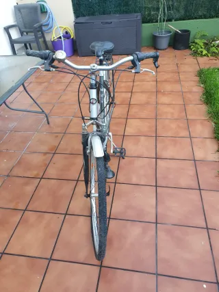 Bicicleta BH Windsor