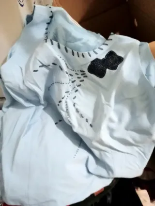 Lote Ropa y Zapatos Mujer Talla Única