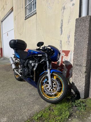 Yamaha FZS600 Cafe Racer TRANSFERENCIA INCLUIDA