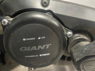 Bicicleta Eléctrica Giant Paseo