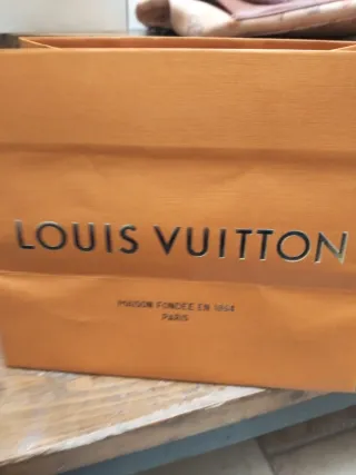 Busta Louis Vuitton Arancione
