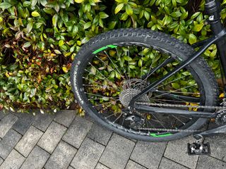 Bicicleta Orbea Alma 50