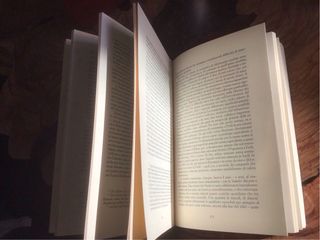 La Romagna nel Risorgimento