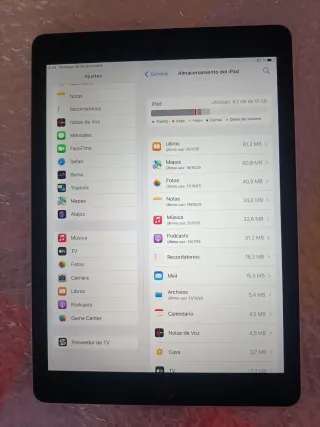 Apple iPad Negro