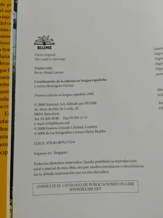 El Camino de Santiago (rutas por Francia y España)
