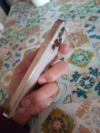 iPhone 13 Pro 128GB Batería 79%