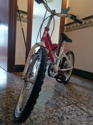 Bicicleta niñ@ marca AGECE Modelo 355