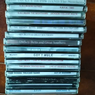 Raccolta 15 CD Southern Rock Allman