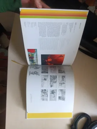 Fadings Graffiti to Design, Illustration libro art