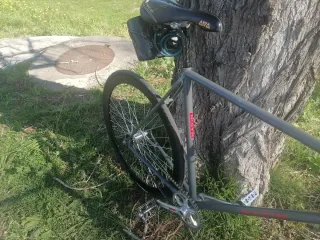 Bicicleta Fixie Gris