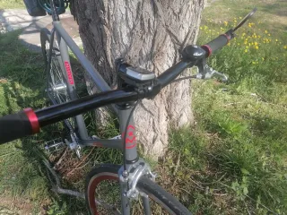 Bicicleta Fixie Gris