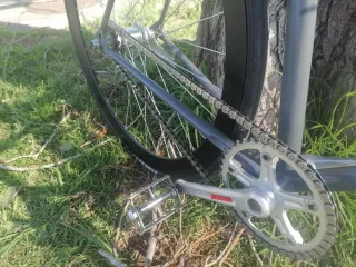 Bicicleta Fixie Gris