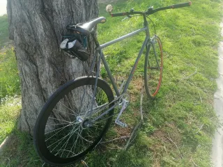 Bicicleta Fixie Gris