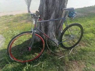 Bicicleta Fixie Gris
