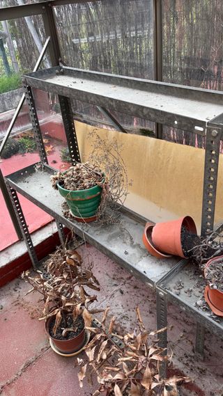 Estantería metálica jardín invernadero