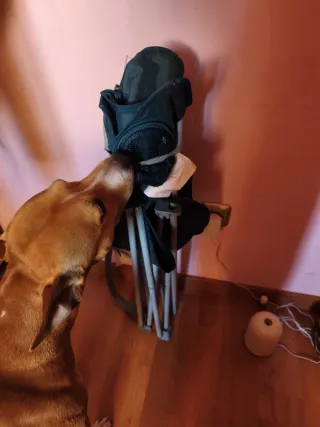 Silla Plegable Negra y Gris