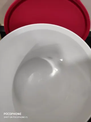 Lote Tupperware Flores y Piñas