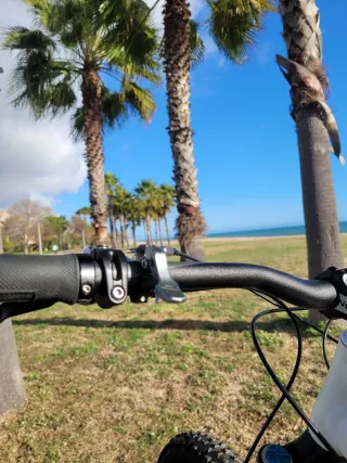 Bicicleta specialitzed