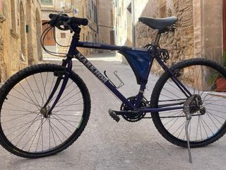 Bicicleta Montaña para adultos