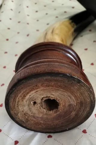 Antiche corna bovine vintage con base