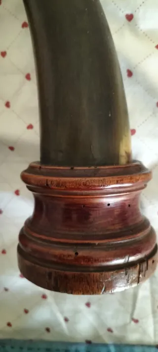 Antiche corna bovine vintage con base