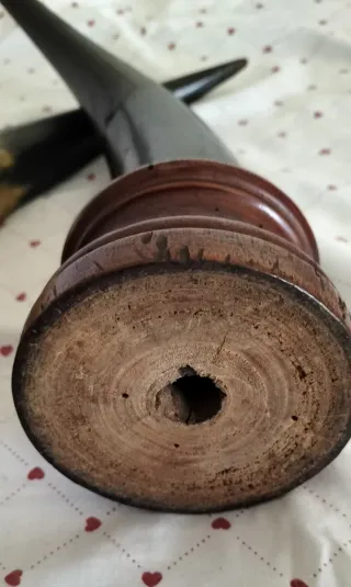 Antiche corna bovine vintage con base