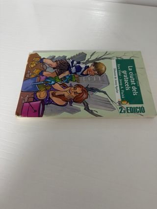 La ciutat dels gratacels