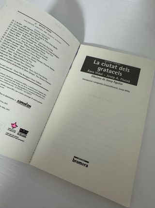 La ciutat dels gratacels